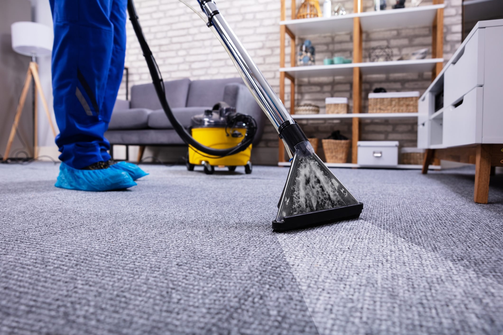 Professional carpet cleaning service in Plano Texas