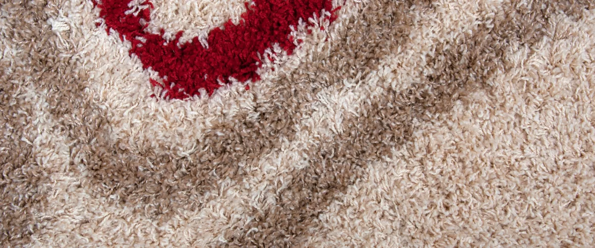 Professional deep rug restoration and stain removal in Plano Texas