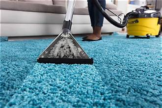 Portable rug cleaning equipment